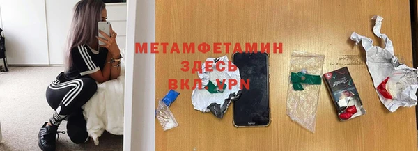 прущие грибы Куйбышев