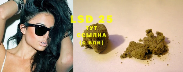 прущие грибы Куйбышев