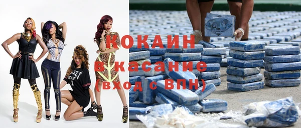 прущие грибы Куйбышев