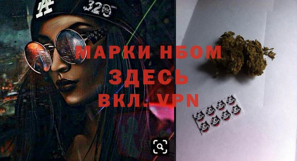 прущие грибы Куйбышев