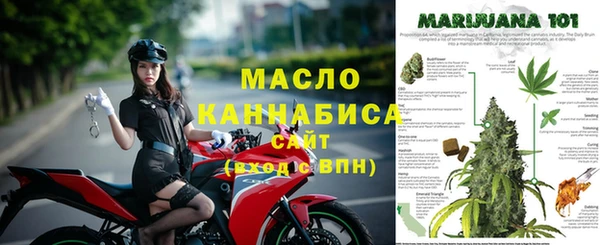прущие грибы Куйбышев